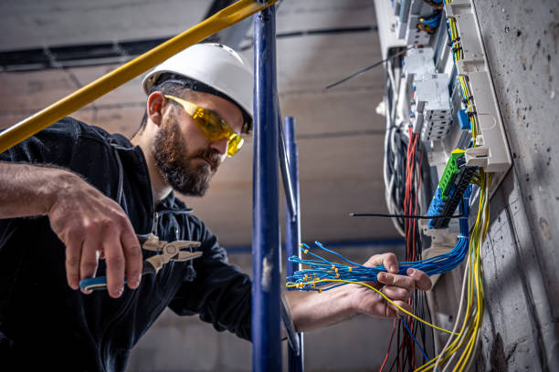 Best Industrial Electrical Services  in Lake Odessa, MI