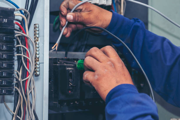Best Ceiling Fan Installation Electrician  in Lake Odessa, MI